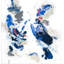 Disco Dancing Print by T.R. Joseph-87730146-87730147