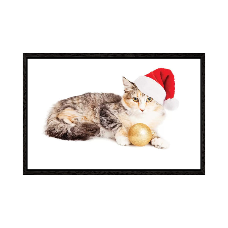 Cute Christmas Calico Kitten by Susan Schmitz - Print on Canvas, 66.04cm H x 101.6cm W x 3.81cm D, Black Floater Framed
