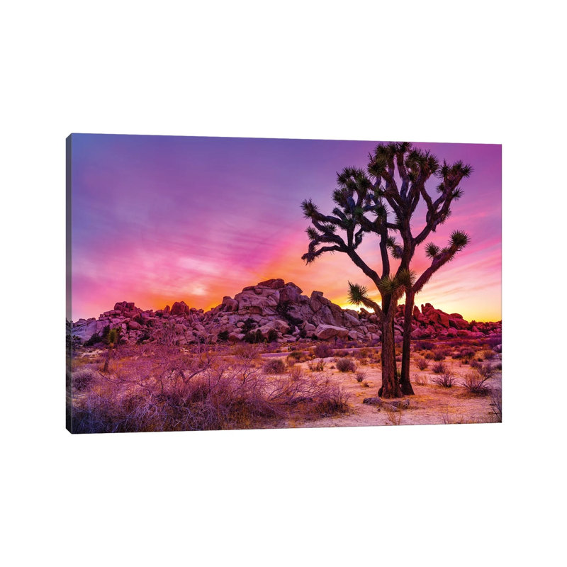 Joshua Tree National Park IX by Susanne Kremer - Gallery-Wrapped Canvas Giclée on Canvas, Canvas