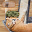 444.5cm H Cat Tree-216387083