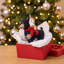 Arcadia Home Doberman Pinscher Hand-Knit Ornament