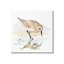 «Sandpiper Sandor» par Victoria Barnes-93958131