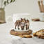 Wrendale Designs, Fine Bone China - Born to be Wild (Fox) Mug