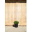 Demi Series Round Planter-83894851-97676810-83894852