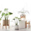 Baheerah Plant Stand - Set of 3