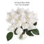 24 tiges de roses artificielles Real Touch, H 11,5 po-380156622