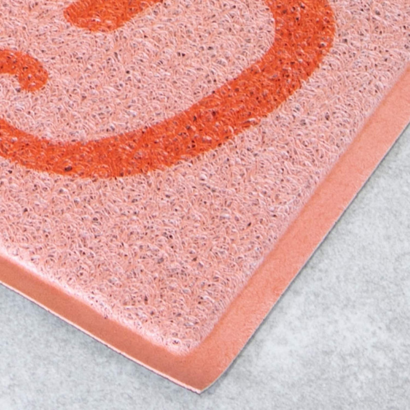 Matchett Non-Slip Indoor Doormat