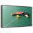 Pingpong Gear Set-213123731-213123728