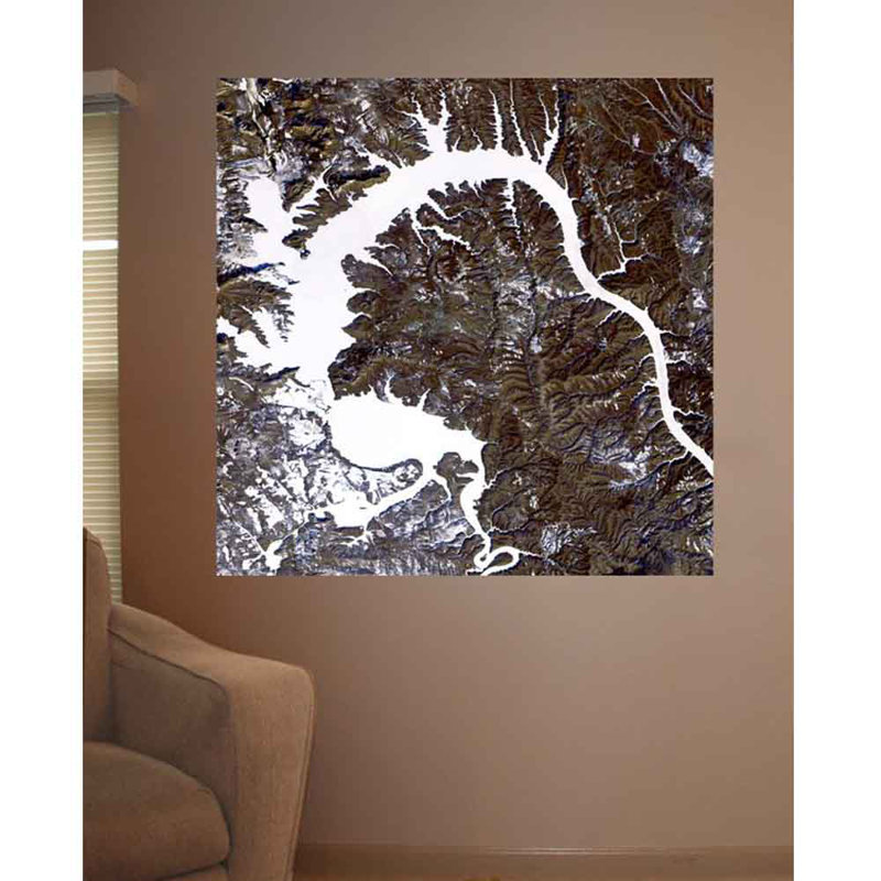 Adhésif décoratif dragon, H 24 po x l 24 po