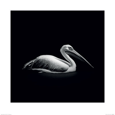 Marina Cano - No Frame Print
