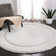 Wilbert Shag Hand Tufted Performance Solid Color Rug