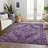 Machine Washable Indoor/Outdoor Xhevrie Eggplant Rug-384393842