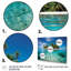 Photo de plage, évasion tropicale V - plage, art mural-278040373-278040372