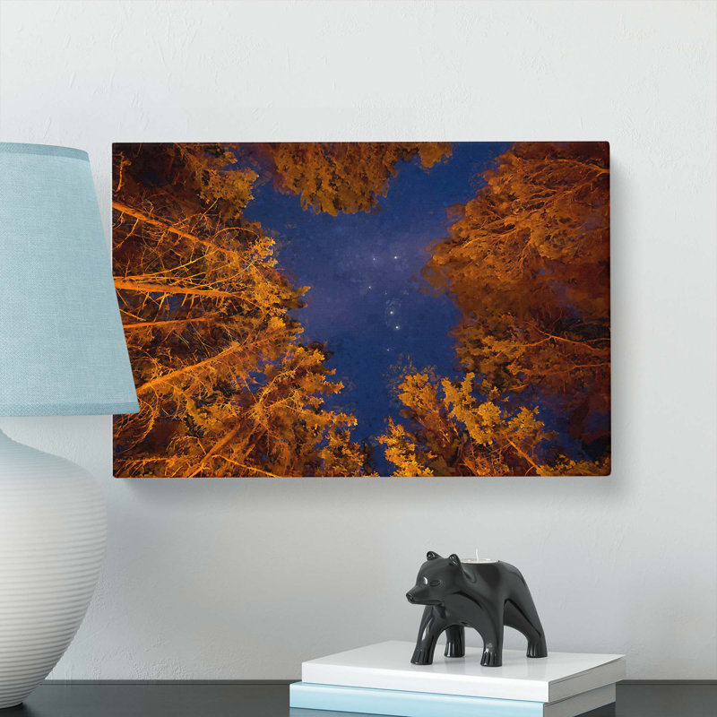 Forest Stars in Canada - Wrapped Canvas, 60cm H x 91cm W x 3cm D