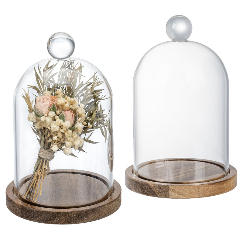 2 Piece Mini Decorative Glass Cloche Set