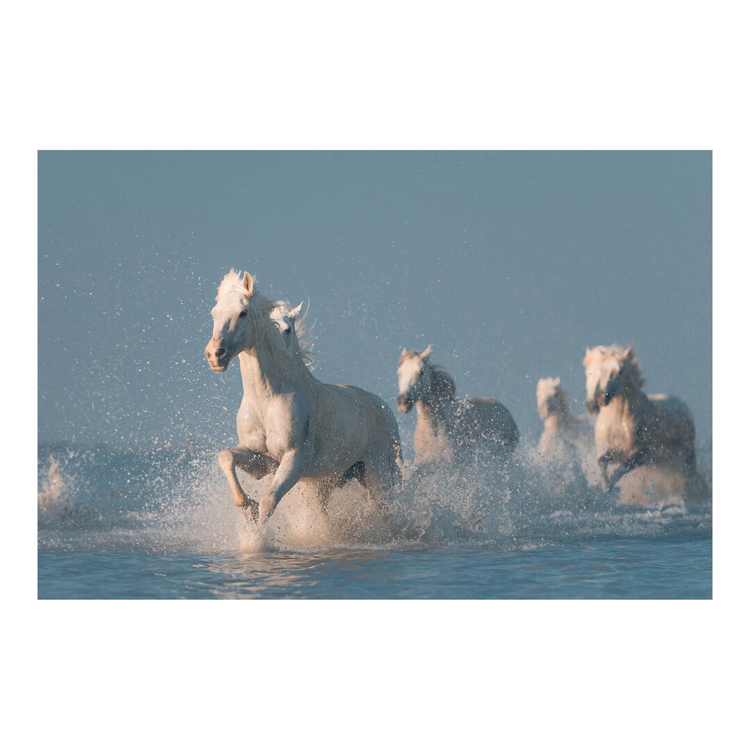 Strukturierte Tapete Herd of White Horses 1,9 m x 288 cm