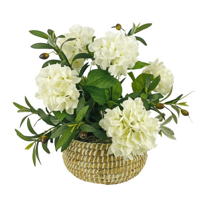 20 Inch Mixed White Hydrangea and Olive in Low White Basket