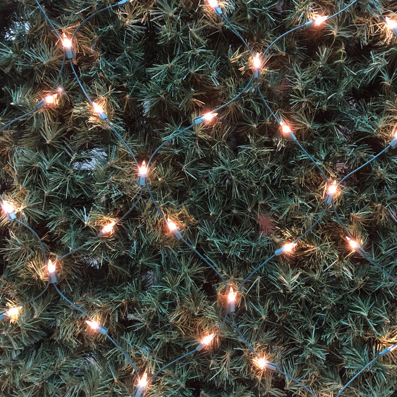 Mini lumières de Noël style filet 4 pi x 6 pi - Fil vert