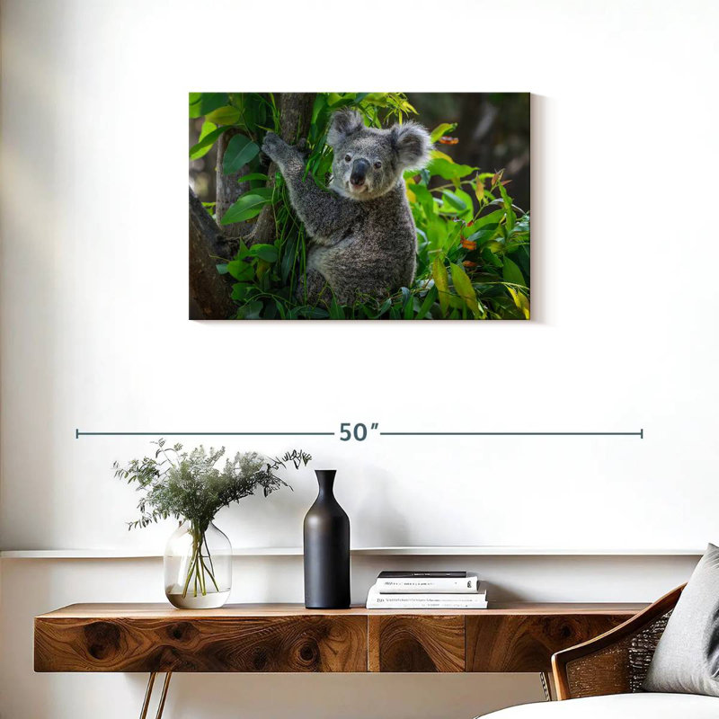 Cute Koala, 20" H x 30" W