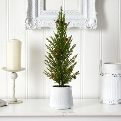 20' Pine Christmas Tree