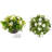 Hydrangea Arrangement-124954908