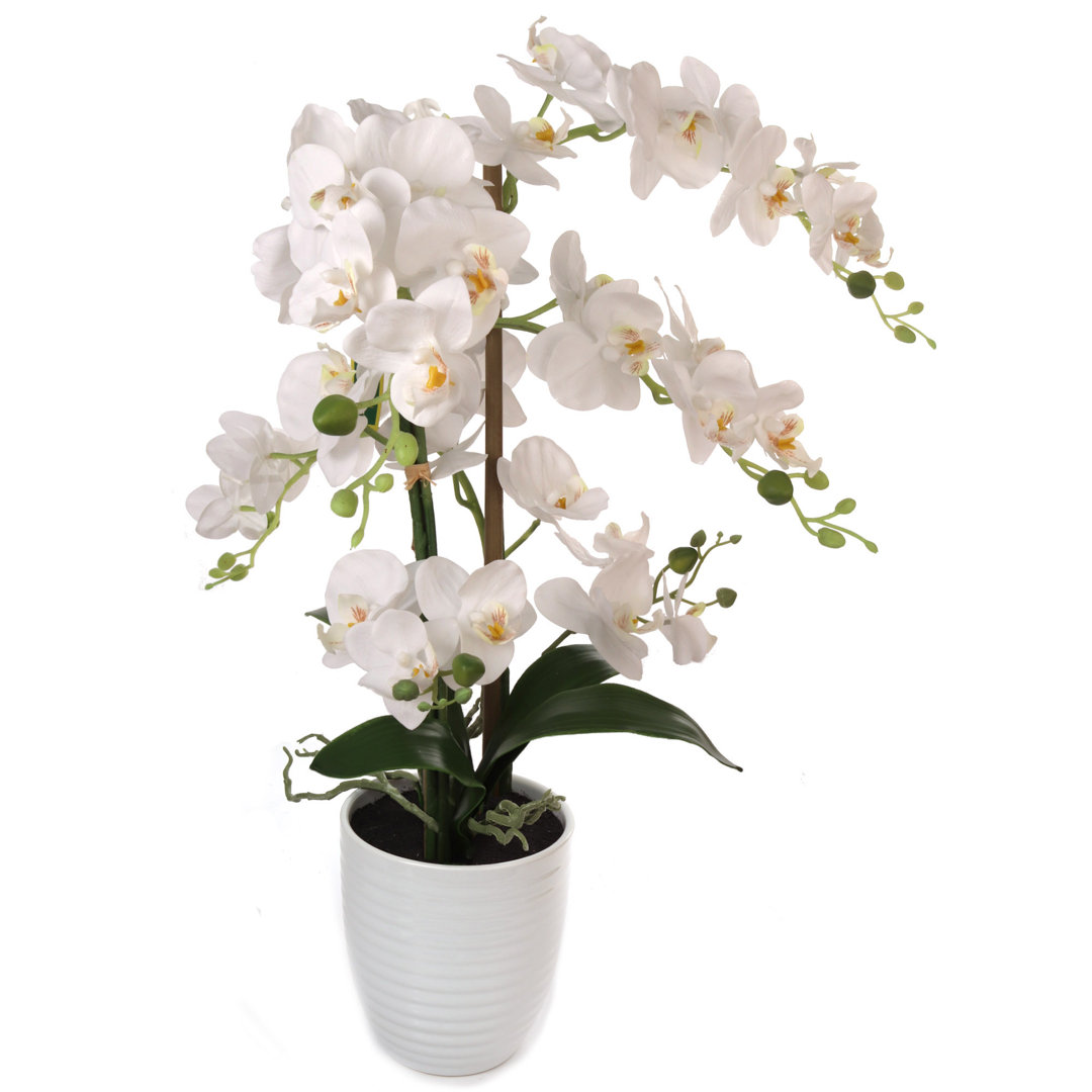Faux Orchid Floral Arrangement in Vase - Elegant Artificial Flowers for Home Decor Primrue Base 