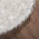Heustis Faux Sheepskin Indoor Rug