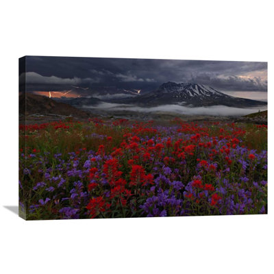 Apocalypse Now by Miles Morgan Photographic Print on Wrapped Canvas