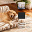 Polyester Pet Bed