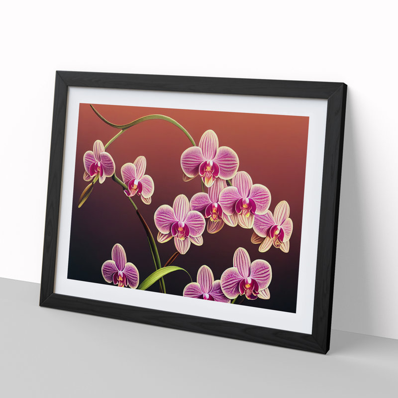 Dashing Orchid Flowers - Framed Print, Black, 25cm H x 34cm W x 2cm D