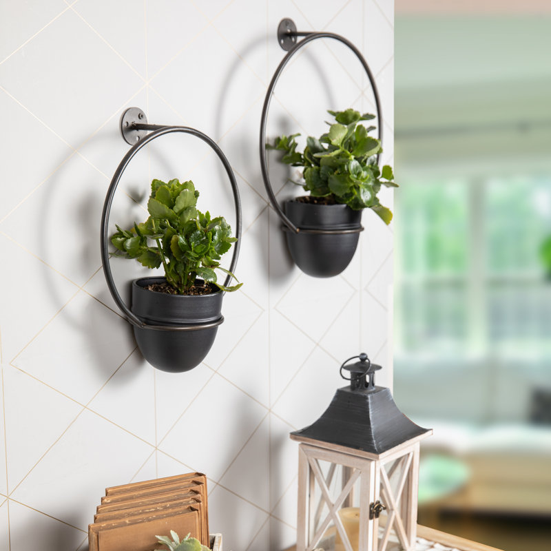 Schunemunk Iron 2-Piece Wall Planter Set