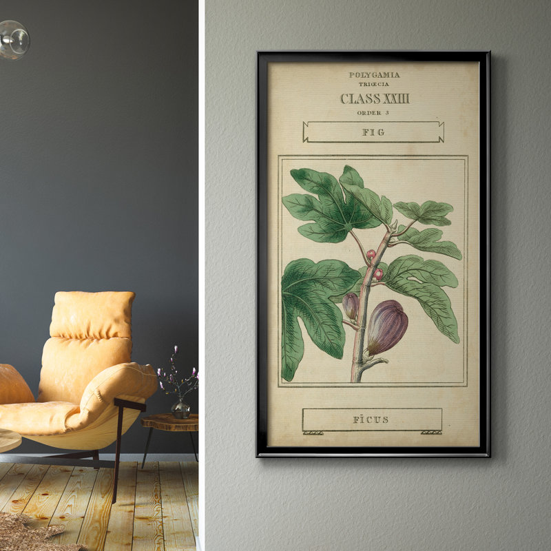 Linnaean Botany VI - Peinture sur toile encadrée, H 10,5 po x l 18,5 po x P 1,5 po, Toile avec cadre noir