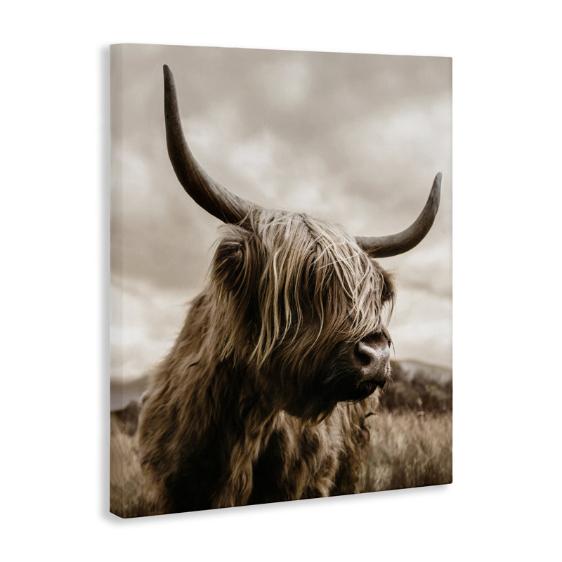 «Highland Cow» sur toile Windswept Moor, conception de CAD Designs, H 48 po x l 36 po