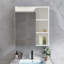 Fredner Wall Bathroom Cabinet
