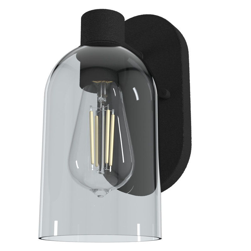 Hunter Lochemeade Noble Bronze 1 Light Sconce Wall Light Fixture, Natural Iron, Smoked