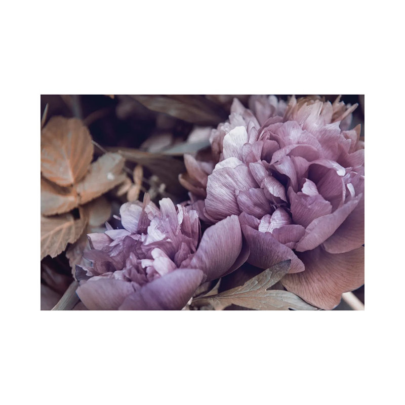 Secret XIV by Design Fabrikken - Wrapped Canvas Print, 30.48 cm H x 45.72 cm W