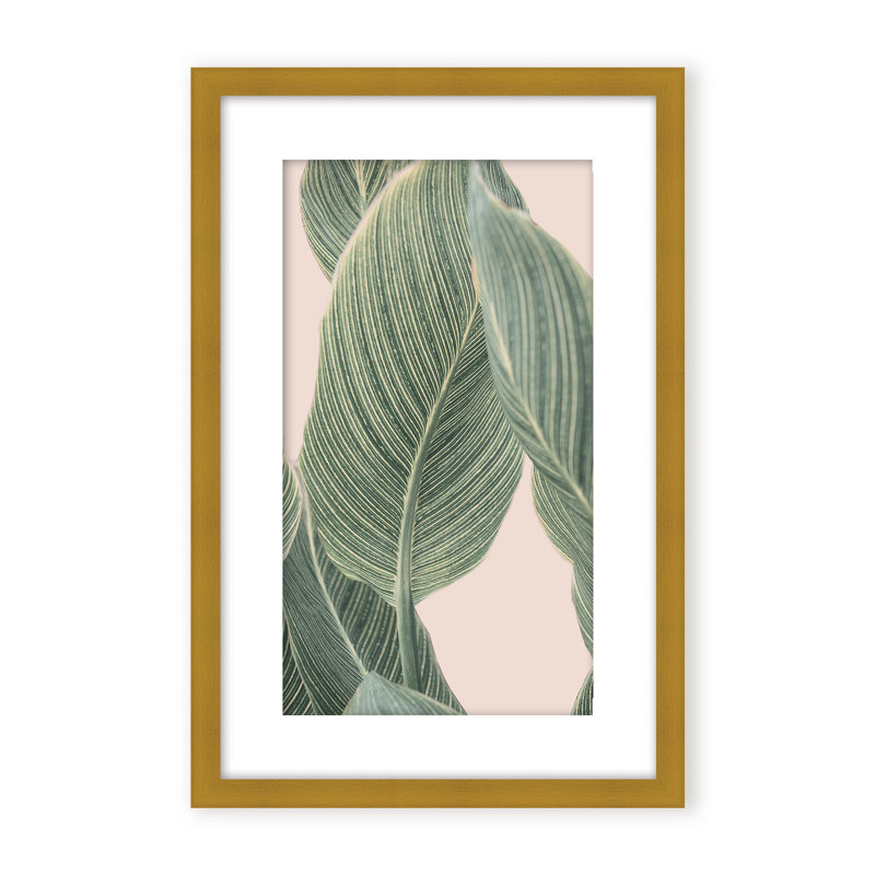 Coastal Retreat Calla Leaf by  - Picture Frame Graphic Art on Paper, 36" H x 24" W x 1.125" D, Framed Matted Print, Beige