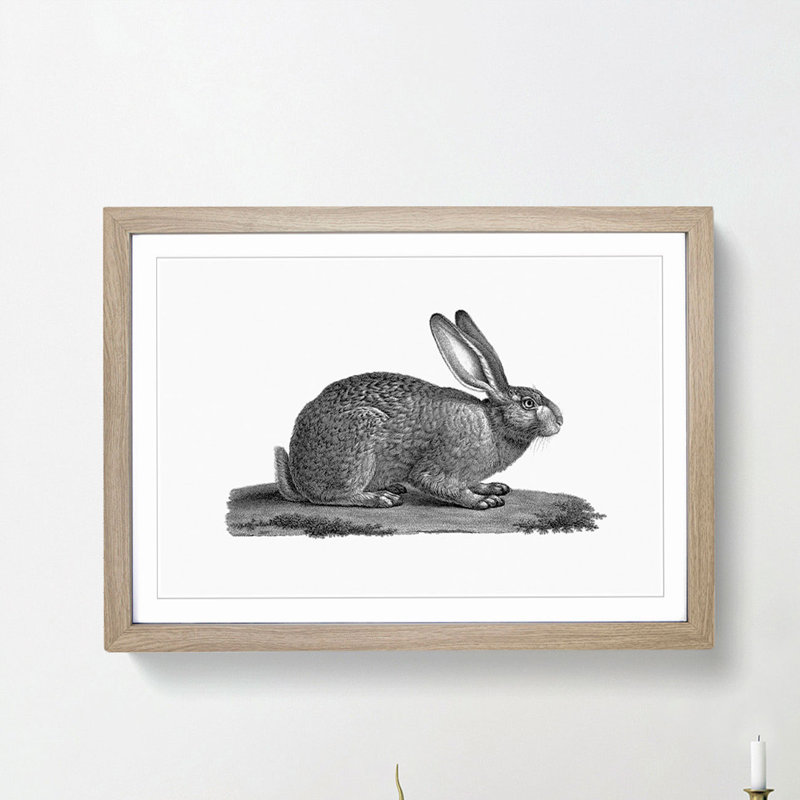 Illustration of a Hare - Framed Print, 36cm H x 48cm W x 2cm D, Oak Framed