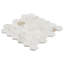 Alaska White Penny Round Polished Marble Tile
