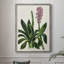 AntiqueFloralFolio II, reproduction encadrée - bois massif 2768837-99478225