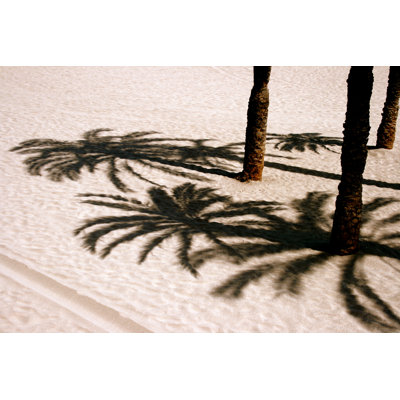 Palm Shades by Manuelvelasco