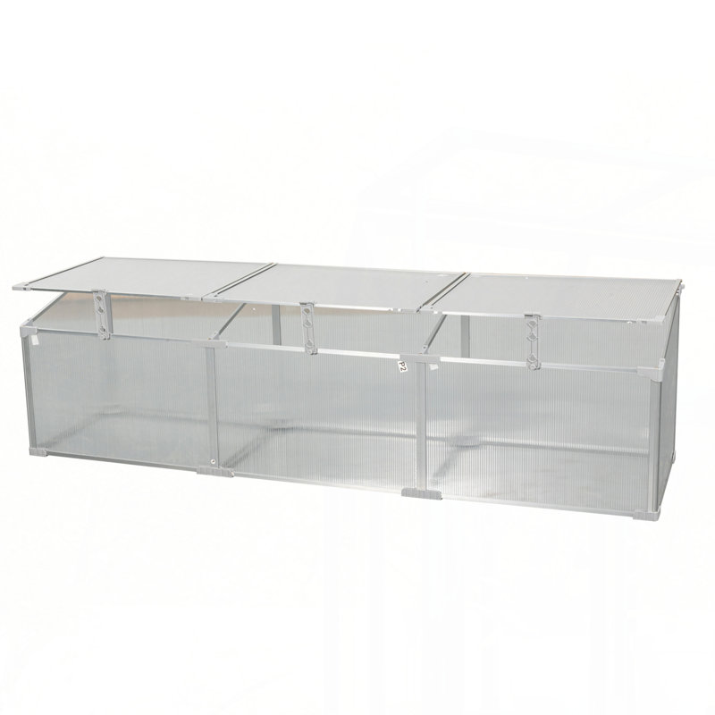 Serre en polycarbonate pour l'extérieur en hiver