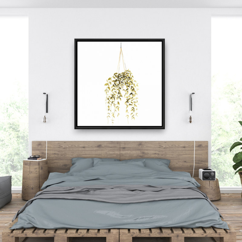 " Hanging Plant "