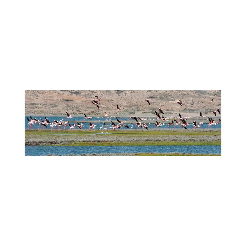 Flamingos, Luderitz Bay, Karas Region, Namibia by Keren Su - Wrapped Canvas Panoramic Print