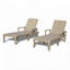 Pool Lounge Chairs Set of 2, Adjustable Backrest and Armrest, Resin Waterproof Chaise for Poolside and Patio-1785323847
