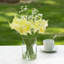 Arrangement floral de bébé dans un vase-1286440551