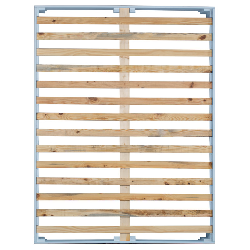 Bed, King, Light Blue