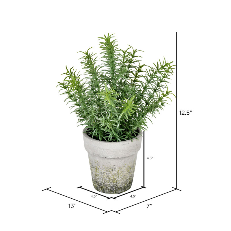 12.5'' Faux Plant in Cement Pot