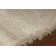 Vani Area Rug in Beige