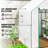 5 Ft W x 5 Ft D Walk-in Greenhouse